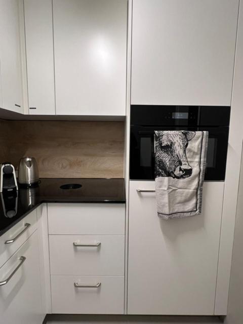 New Renovated Apartment In Center Of Davos Kültér fotó