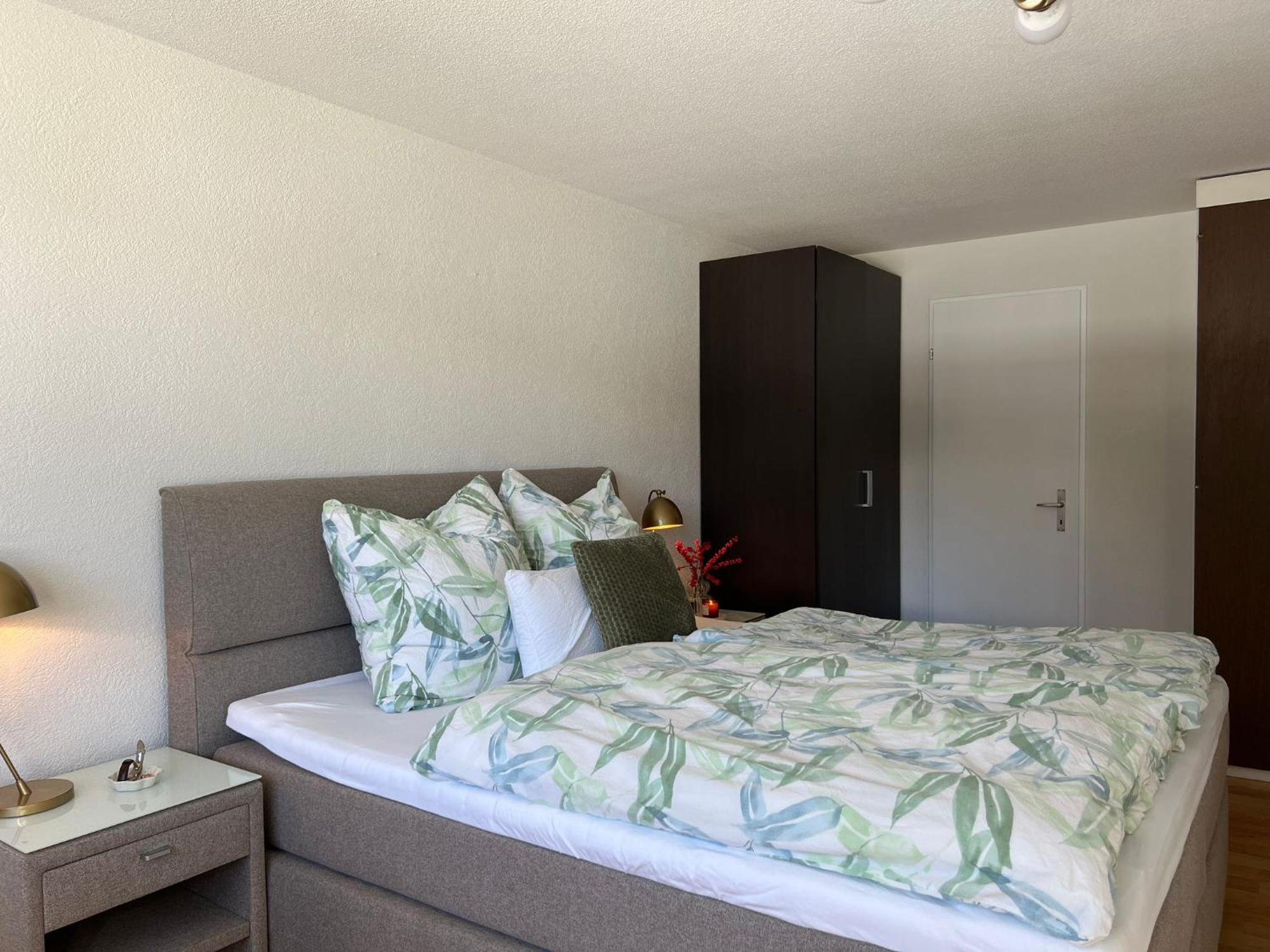 New Renovated Apartment In Center Of Davos Kültér fotó